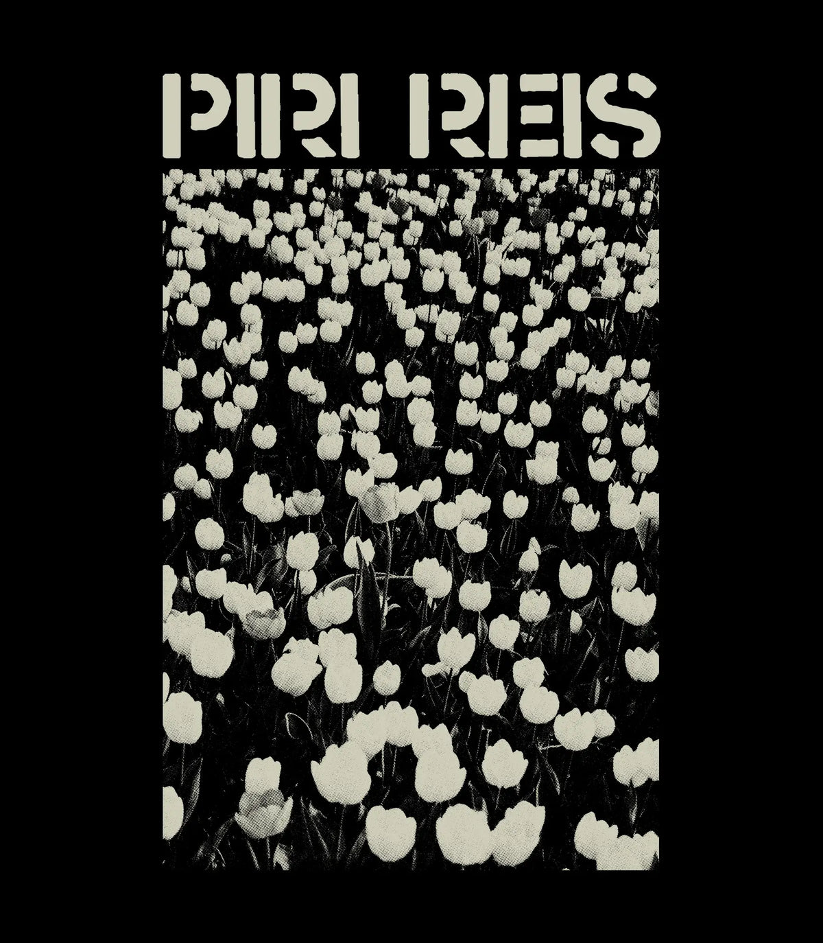Piri Reis